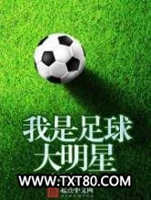 《我是足球大明星》全本TXT下载-作者：李陆六