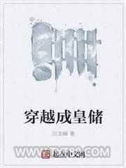《穿越成皇储》全本TXT下载-作者：回龙峰