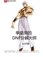 《拳皇里的DNF分解大师》全本TXT下载-作者：wasll