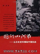 《国破山河在：从日本史料揭秘中国抗战》全本TXT下载-作者：萨苏