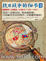 《抗日战争的细节3》全本TXT下载-作者：魏风华