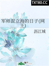 《军师混立海的日子(网王)》全本TXT下载-作者：沥江城