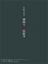 《嫌疑人X的献身》全本TXT下载-作者：东野圭吾