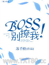 《Boss别撩我！》全本TXT下载-作者：苏千橙