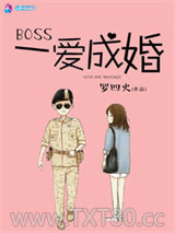 《Boss一爱成婚》全本TXT下载-作者：罗四火