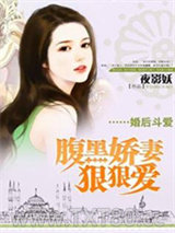 《婚后斗爱：腹黑娇妻狠狠爱》全本TXT下载-作者：夜影妖