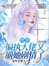 《快穿：偏执大佬又崩她剧情了》全本TXT下载-作者：夏夜星繁