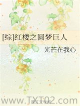 《[综]红楼之圆梦巨人》全本TXT下载-作者：光芒在我心