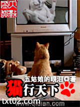 猫行天下图片