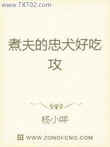 《论如何正确投喂将军男票》全本TXT下载-作者：杨小咩