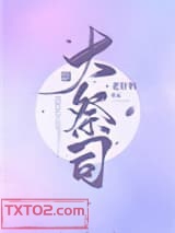《大祭司》全本TXT下载-作者：老肝妈