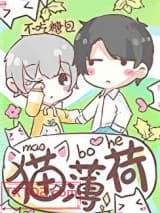 猫薄荷图片