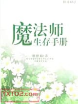 魔法师生存手册图片