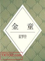 《金童》全本TXT下载-作者：崔罗什