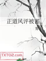《正道风评被害》全本TXT下载-作者：雾十