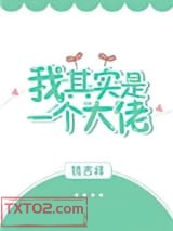 《我其实是一个大佬》全本TXT下载-作者：镜吉祥