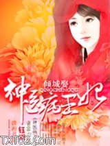 倾城娶――神医病王妃图片