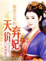 《腹黑王爷的天价弃妃》全本TXT下载-作者：南湖微风