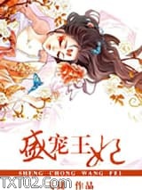 《盛宠王妃》全本TXT下载-作者：飞翼
