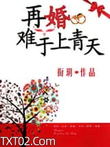 《再婚难于上青天》全本TXT下载-作者：衔玥