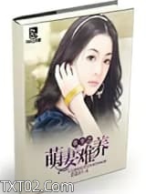 《重生之萌妻难养》全本TXT下载-作者：菜卷泪