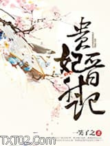 《贵妃晋升记》全本TXT下载-作者：一笑了之
