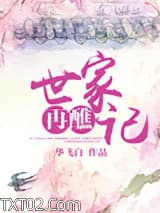 《世家再醮记》全本TXT下载-作者：华飞白