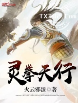 灵拳天行图片