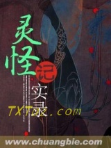 《灵怪记实录》全本TXT下载-作者：染血鬼手