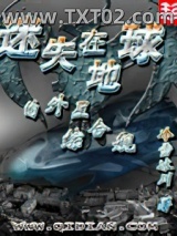 《迷失在地球的外星综合舰》全本TXT下载-作者：冷雪冰川