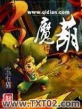 《魔葫》全本TXT下载-作者：宝石猫