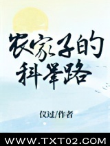 《农家子的科举路》全本TXT下载-作者：仪过