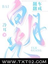 《翻车翻成白月光》全本TXT下载-作者：冷耳