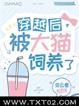 《穿越后被大猫饲养了》全本TXT下载-作者：栾云夏