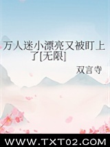 《万人迷小漂亮又被盯上了[无限]》全本TXT下载-作者：双言寺
