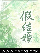 假结婚［娱乐圈］图片