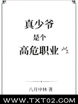 真少爷是个高危职业图片