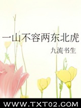 《一山不容两东北虎》全本TXT下载-作者：九流书生