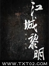《江城黎明》全本TXT下载-作者：风徒石头