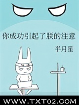 你成功引起了朕的注意图片