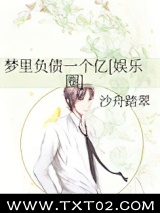 梦里负债一个亿[娱乐圈]图片