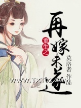 《重生之再嫁未遂》全本TXT下载-作者：莫洛者