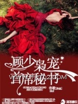 《顾少枭宠首席秘书》全本TXT下载-作者：帝歌