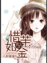《重生之惜茉如金》全本TXT下载-作者：人影憧憧
