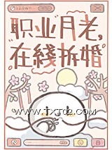 《职业月老，在线拆婚》全本TXT下载-作者：观山见石