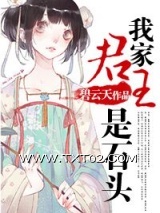 《我家君王是石头》全本TXT下载-作者：碧云天