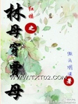 《红楼之林母穿贾母》全本TXT下载-作者：微云烟波