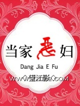 《当家恶妇》全本TXT下载-作者：望江影