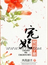 宠妃使用手册图片