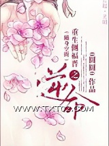 重生侧福晋之逆命图片